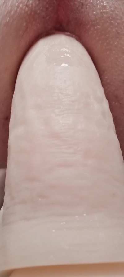 Anal GIF by blueswimmercrab18