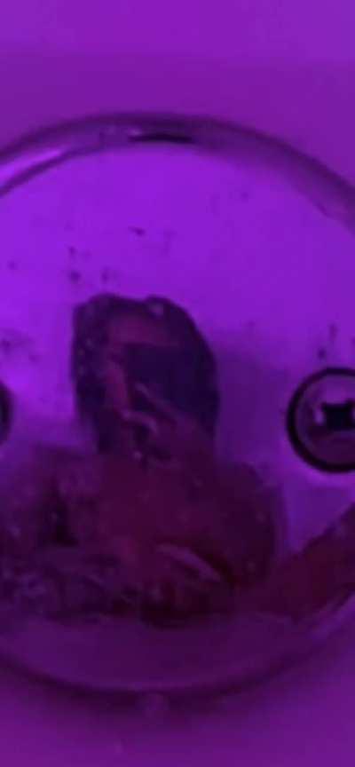 3$ for this bull shit