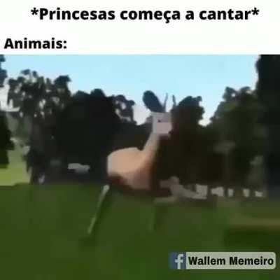 KkKkK