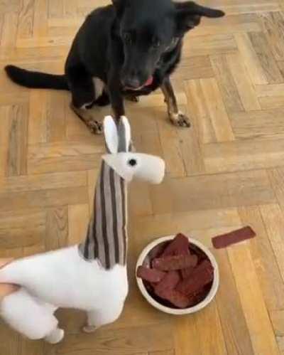 Yeah, that’s gunna be a no from me, dawg.