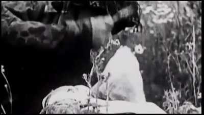 A collection of Waffen SS and 12 SS Panzer Division footage from World War 2. (All music Removed)