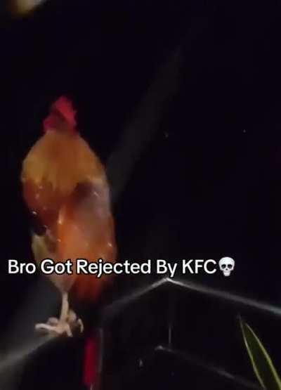 The Not-So-Finger-Lickin' Chicken