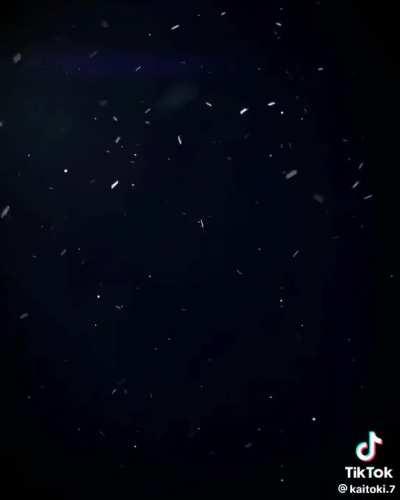 I alone am the fraudster