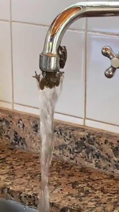 This is why you don’t drink tap water