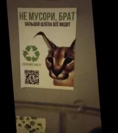 Edit with pics from reddit