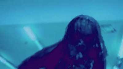 Miss The Rage | Punk Monk