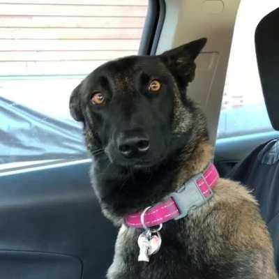 MRW my girlfriend apologizes for being in a bad mood and I say, “Everyone has a bad day” and then she says, “I’M NOT HAVING A BAD DAY!”