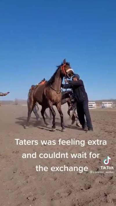 Horse is so ready to go he can’t wait for the relay rider