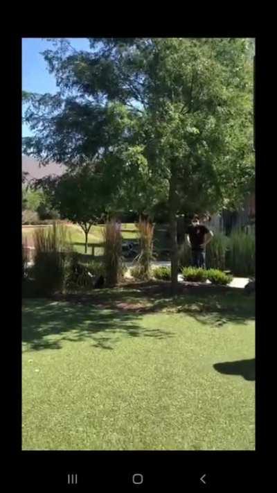 Not me, but mutual friend posted this. Thought I'd share here