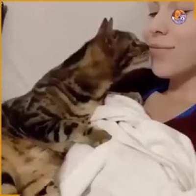 Любовь и Котики