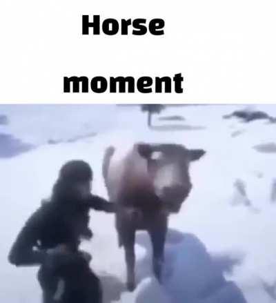 Me when horse
