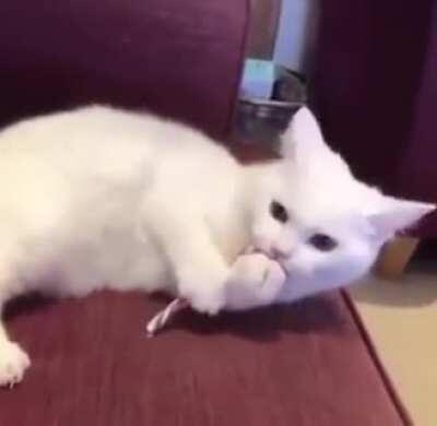 Accidentaly tasting peppermint