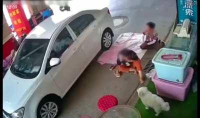 Lady survive miracle 