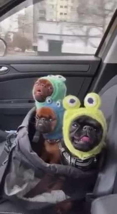 Me and the boys after blowing up another account 😂