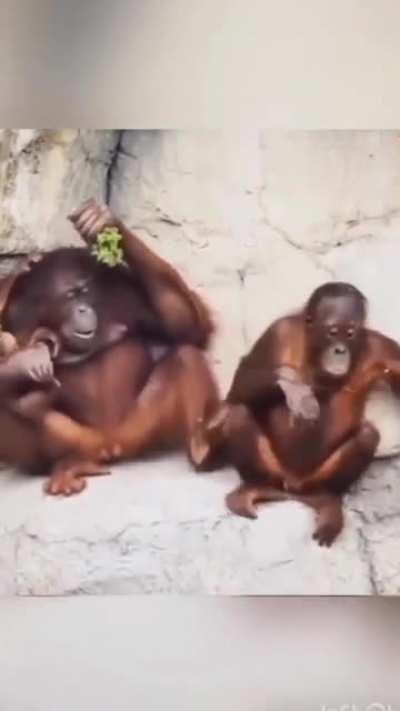 Disrespectful that was!