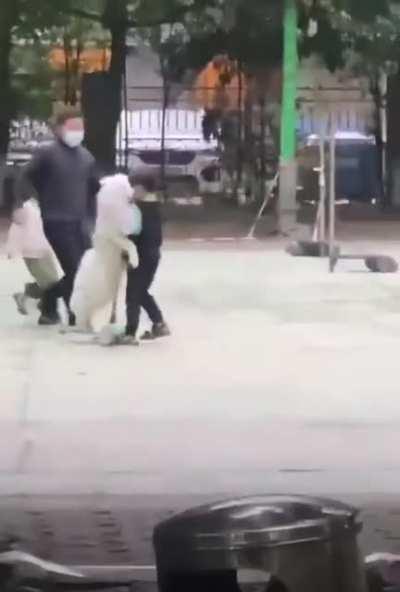 I have so many questions