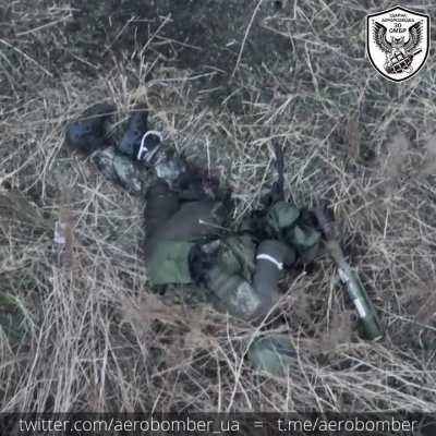 If you close your eyes and stay very still, maybe it won't see you. 🇺🇦 Aerobomber 30th Mechanized Brigade