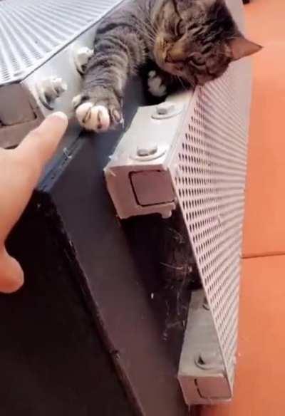 He was right, this is magic.