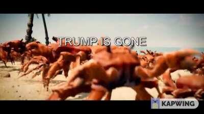 Anarcho-Bidenism prevails once again