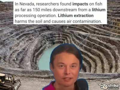 Eu ri disso mais do que deveria