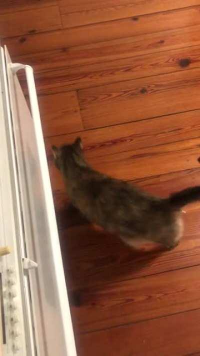 The ol’ Squeak n’ Spin (and a little Sit)