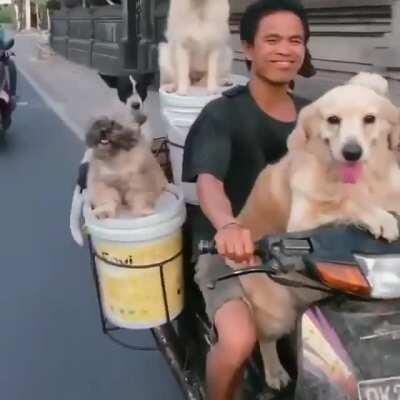 Just along for the ride