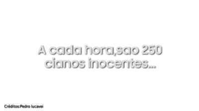 Cianofobia é crime,parem com isso 😔