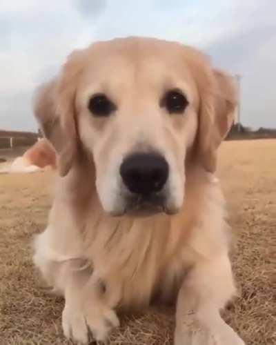 That smile at the end