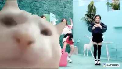 Let's stream Happiness!!