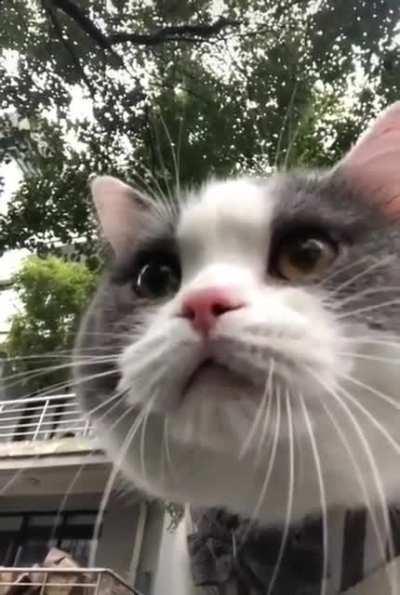 I'm gonna be so mad...