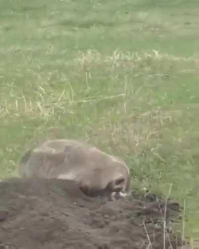 When I say be home by 5 o'clock, I mean 5 o'clock