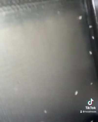 Not sure if this has been posted before, but I fear this nest... and it's occupant.