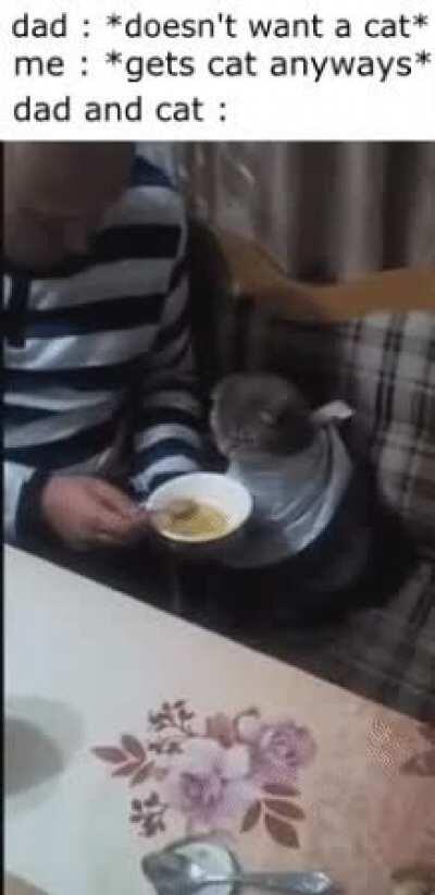 gotta make sure it eats all its food.