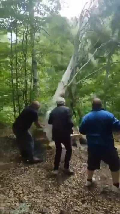 yes yes yes no no nooooo