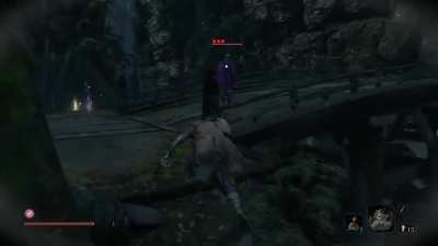 Sekiro but the game has been overhauled