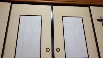 Japanese Livestream 1-1-2024 (Volume Warning)