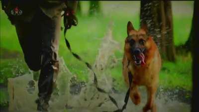 Wake up babe, new North Korean propaganda just dropped.