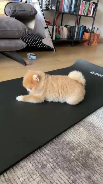 Идеальный партнёр для йоги