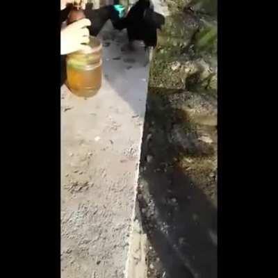 Russian во́рон I'm guessing, this is not his first time hitting a gravity bong.