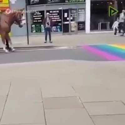 Sigma horse, always avoid LGBTQ