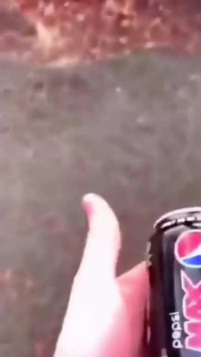 Coca-Cola is better than Pepsi 