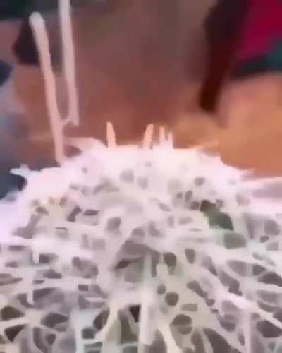 HUEstation - Video #9274