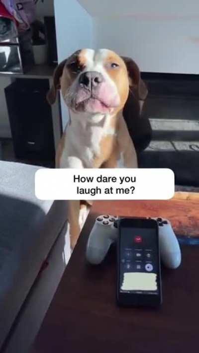 Не смейтесь и помогите!