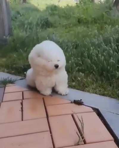 A break from the normal heavy wind