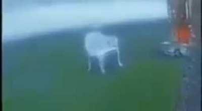 I AM THE STORM THAT IS APPROACHING.