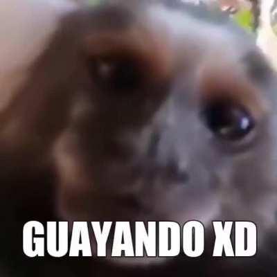 GUAYANDO XD