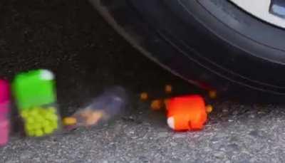 What the dogs doing?