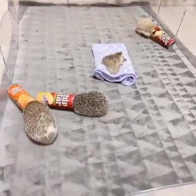 They're ALL in tube mode.