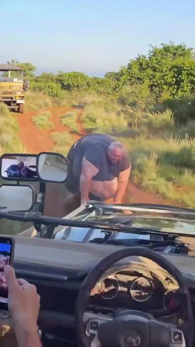 This one's a bit too real looking