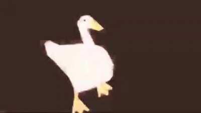 1 Ano sem a mãe quem não reagir ao ganso de Sapucaia mandando o passinho